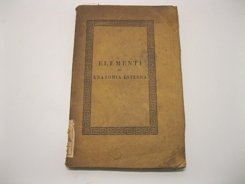 Elementi di Anatomia Esterna
